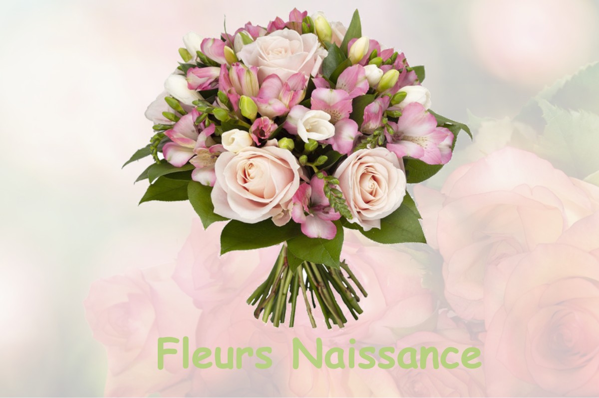 fleurs naissance ERVAUVILLE