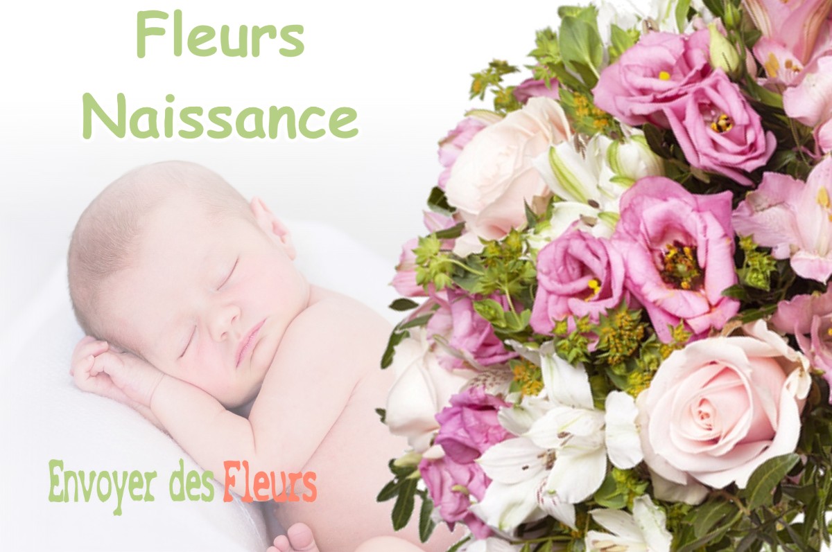 lIVRAISON FLEURS NAISSANCE à ERVAUVILLE